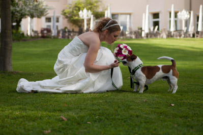 Hochzeitfoto in Delecke und Eversberg