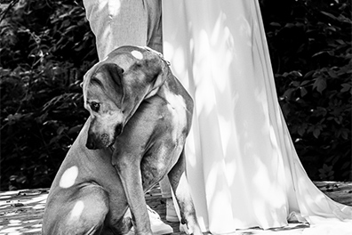 Hochzeitfoto der freien Trauung in den Gärten des Landhotel Voshövel in Schermbeck