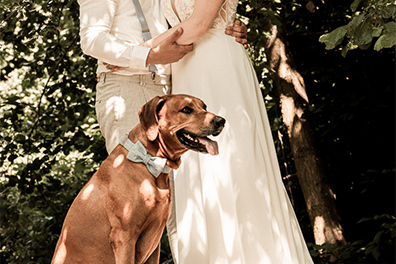 Hochzeitfoto der freien Trauung in den Gärten des Landhotel Voshövel in Schermbeck