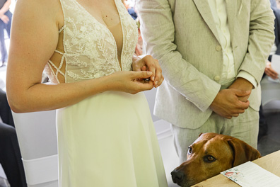 Hochzeitfoto der freien Trauung in den Gärten des Landhotel Voshövel in Schermbeck