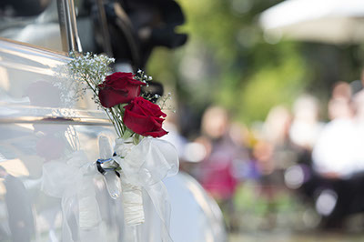 Hochzeitsfotografie des Brautpaares Domonique und Thomas in Haan-Gruiten und auf Schloß Lüntenbeck in Wuppertal