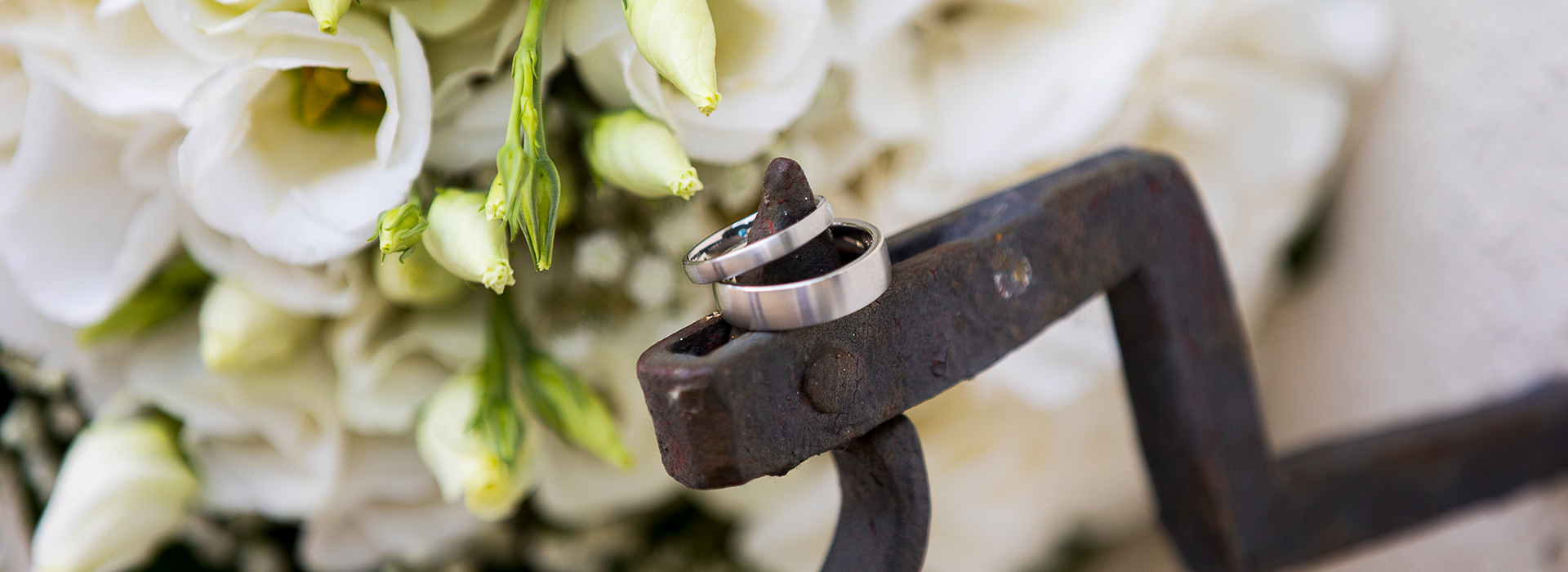 Hochzeitsfoto von Kirsten & Jakub